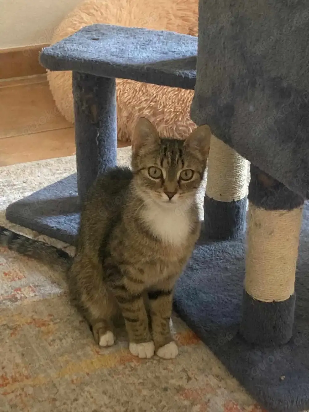 Schüchterne Lilly sucht verständnisvolle Familie