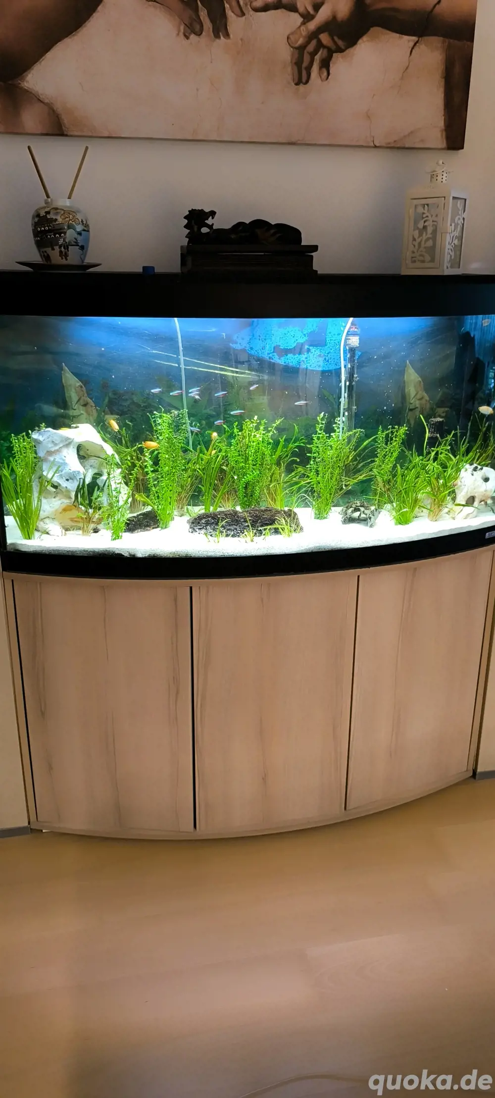 Fluval 260 Liter 
