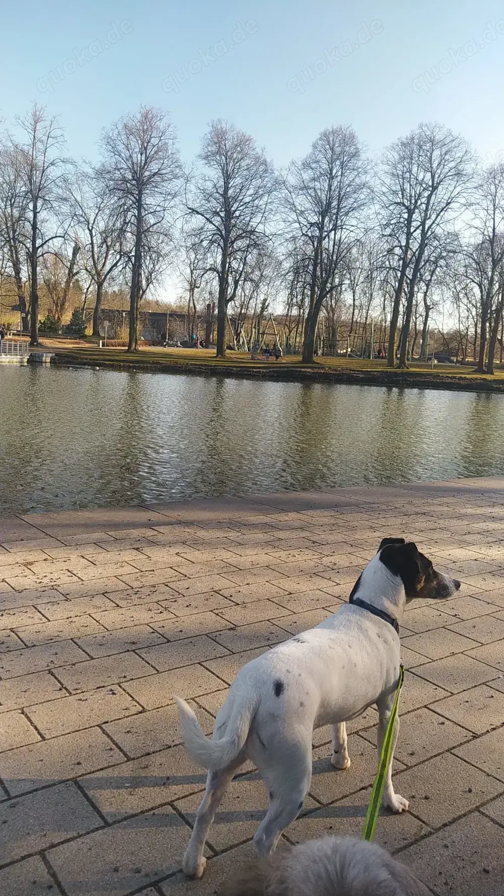 Smoothie sucht seinen Platz