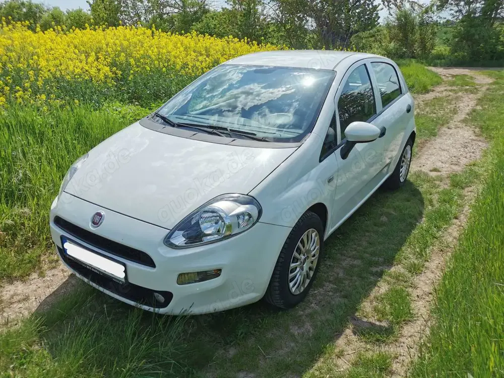 Fiat Punto Evo