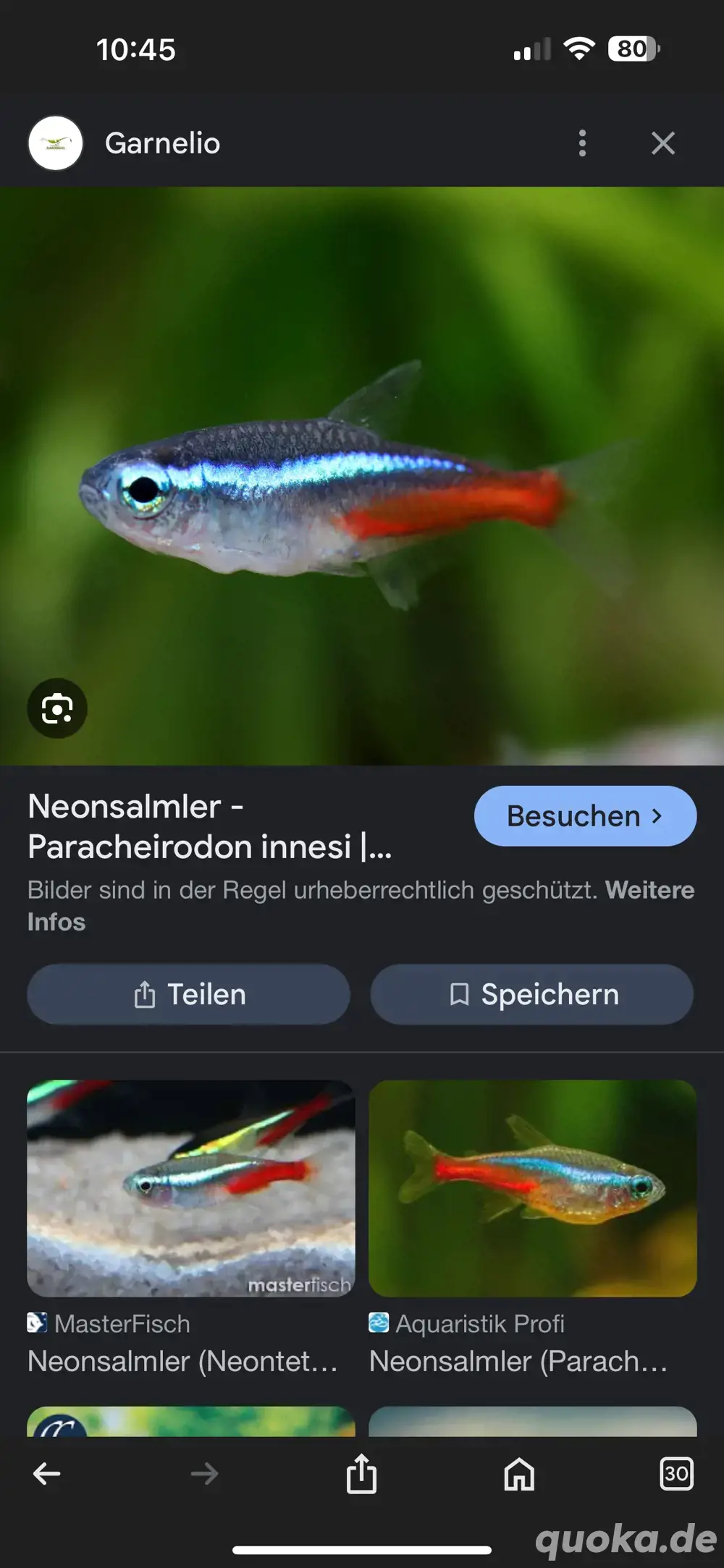 neonsamler neonsamler