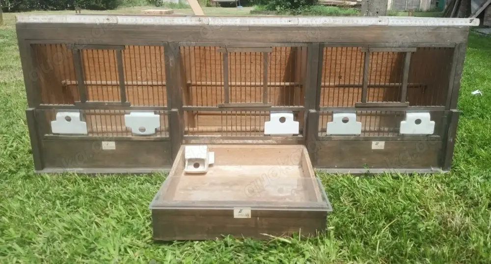 Zuchtbrutkasteneinheit für kleine Vögel