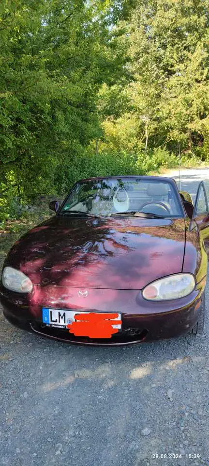 Mazda MX-5 MX-5 NB 1.6 16V Bordeaux Rot-Neuigkeiten lesen :-)