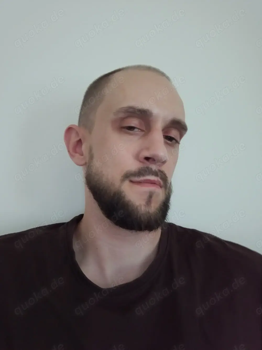 Asiatinnen gesucht 