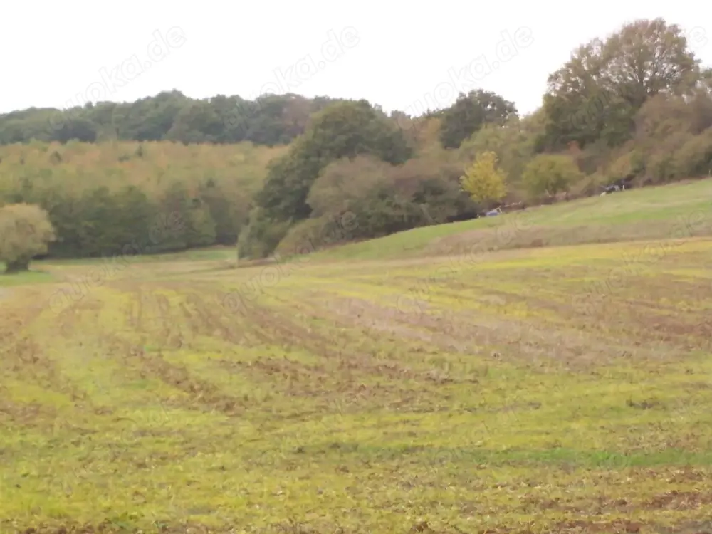 Höringen ---3 verschiedene Grundstücke  Landwirtsch. bzw   Tierhaltung-Freizeit-Erholung---JE 10 000