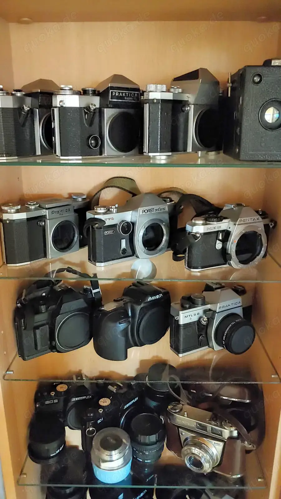 Alte analoge Kameras aus Sammlung