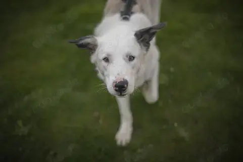 Frohnatur Atlas wartet auf dich!