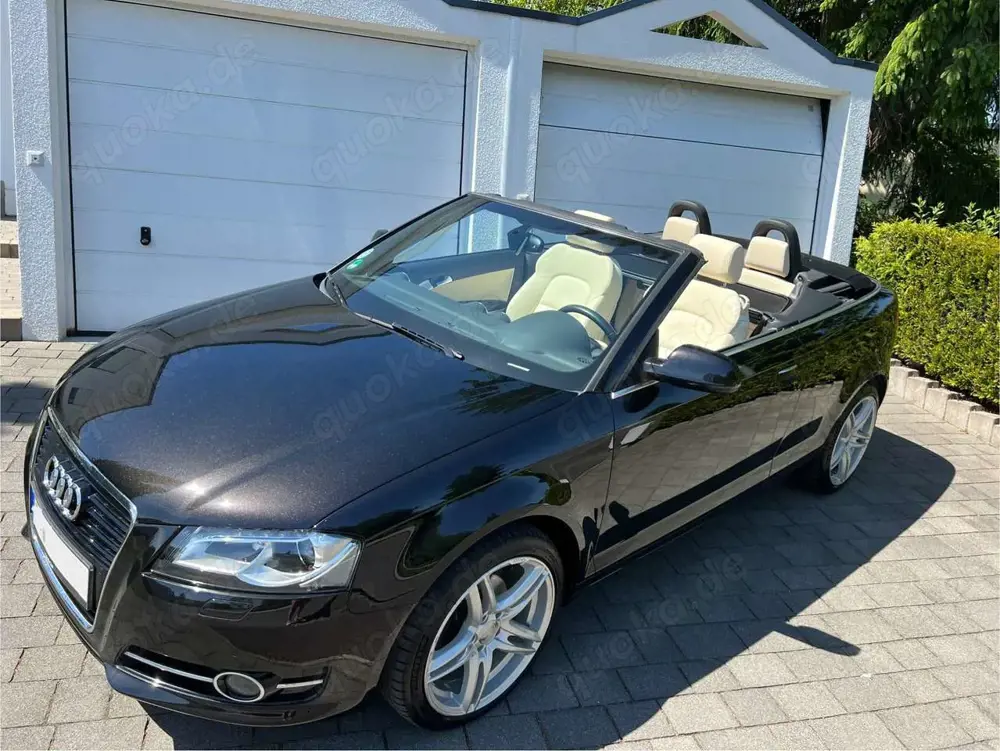 Audi Cabriolet Audi A3 Attraction 2.0 TDI Automatik Sitzheizung