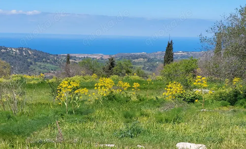 Grosses Grundstück auf Zypern EU