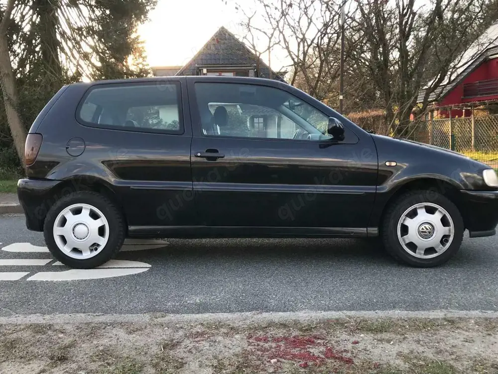 Volkswagen Polo Polo