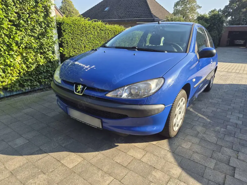 Peugeot 206 206 60 Pop Art