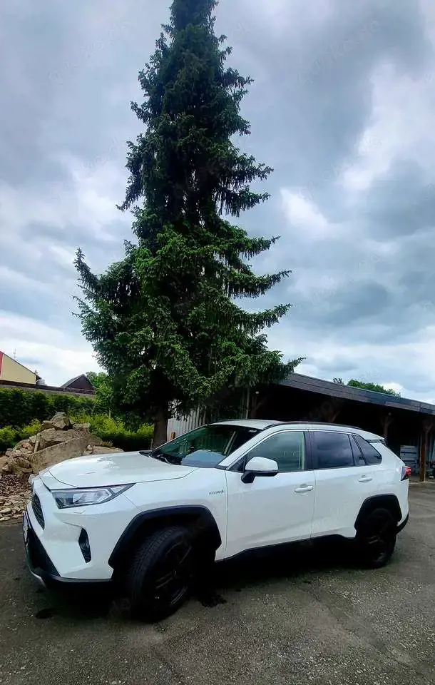 Toyota RAV 4 RAV4 Hybrid 2.5 4x4 Hybrid Style Selection