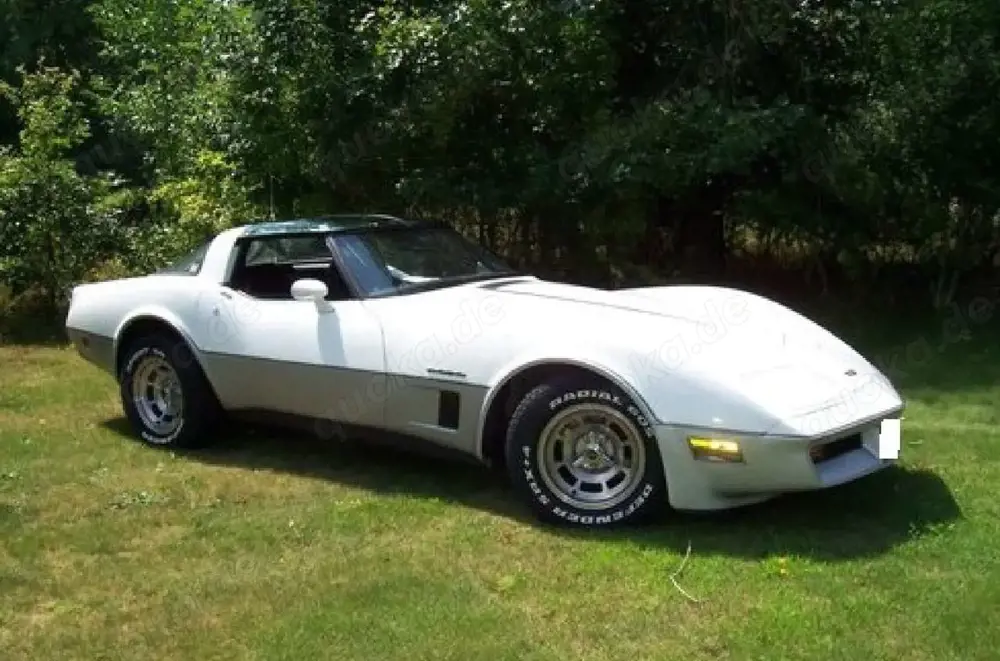 Corvette C3 Cross-Fire-Injection