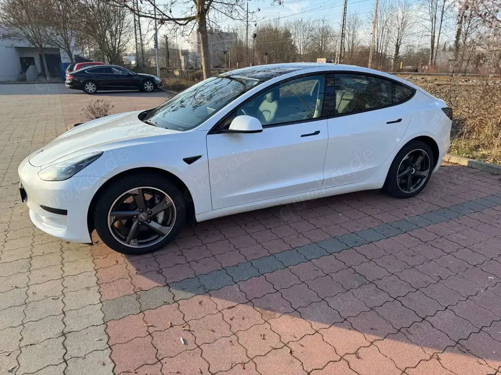 Tesla Model 3 Model 3 RWD Hinterradantrieb