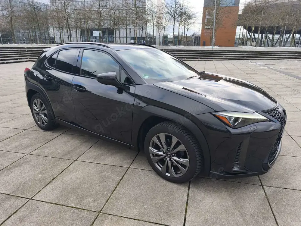 Lexus UX 250h F Sport All Black HUD Matrix AHK Android 360°