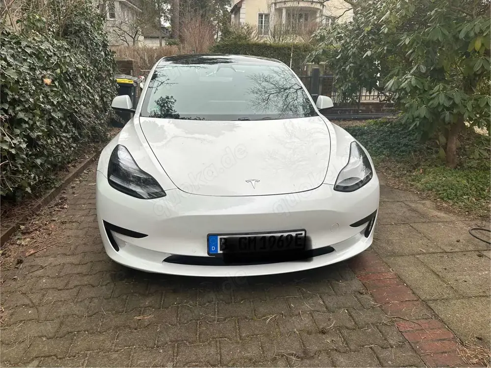 Tesla Model 3 Model 3 Standard Reichweite Plus Hinterradantrieb