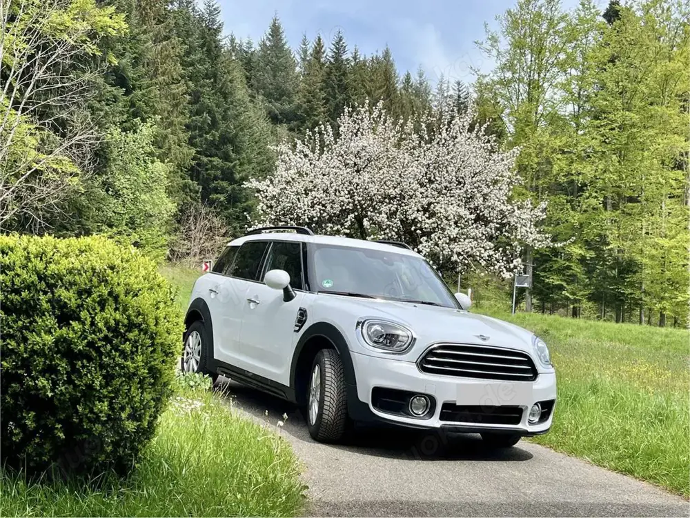 MINI Cooper Countryman Mini Cooper Countryman Chilli LED Aut.Scheckheft