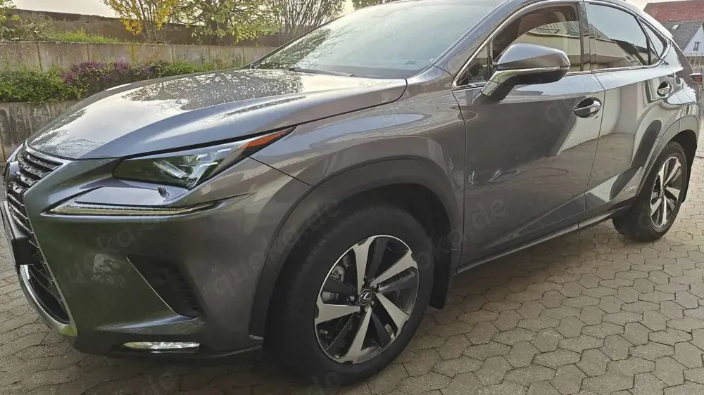 Lexus NX 300h VOLL.VOLL.VOLL...Luxury Line