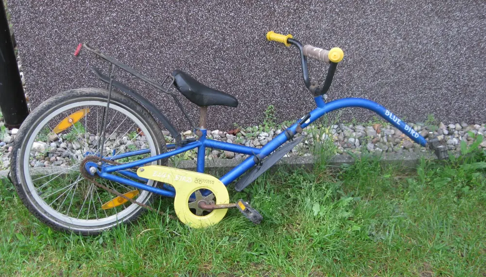 Nachläufer   Kinderfahrrad zum Anhängen an Fahrrad für nicht selbst fahrende Kinder
