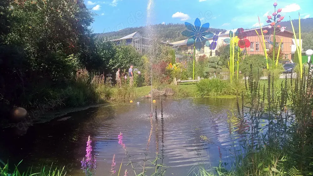 Die heiße und geile WhatsApp Gruppe "Psycho & Sexy Erotik" sucht neue Mitglieder ab 18+ Jahren