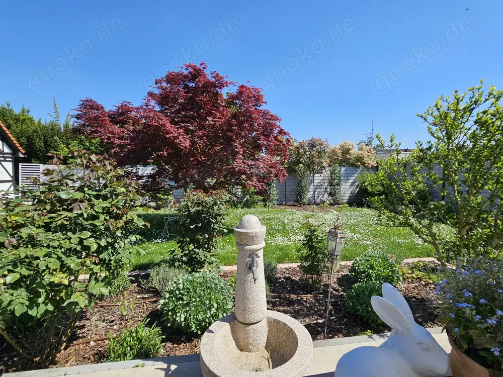 Suche Hausbetreuung nahe Speyer