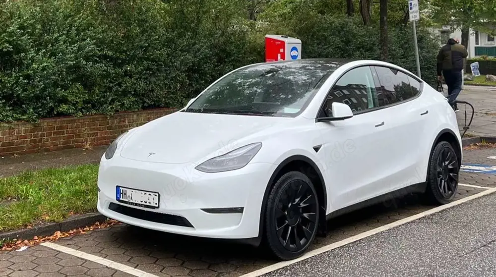 Tesla Model Y Model Y Long Range Dual Motor AWD