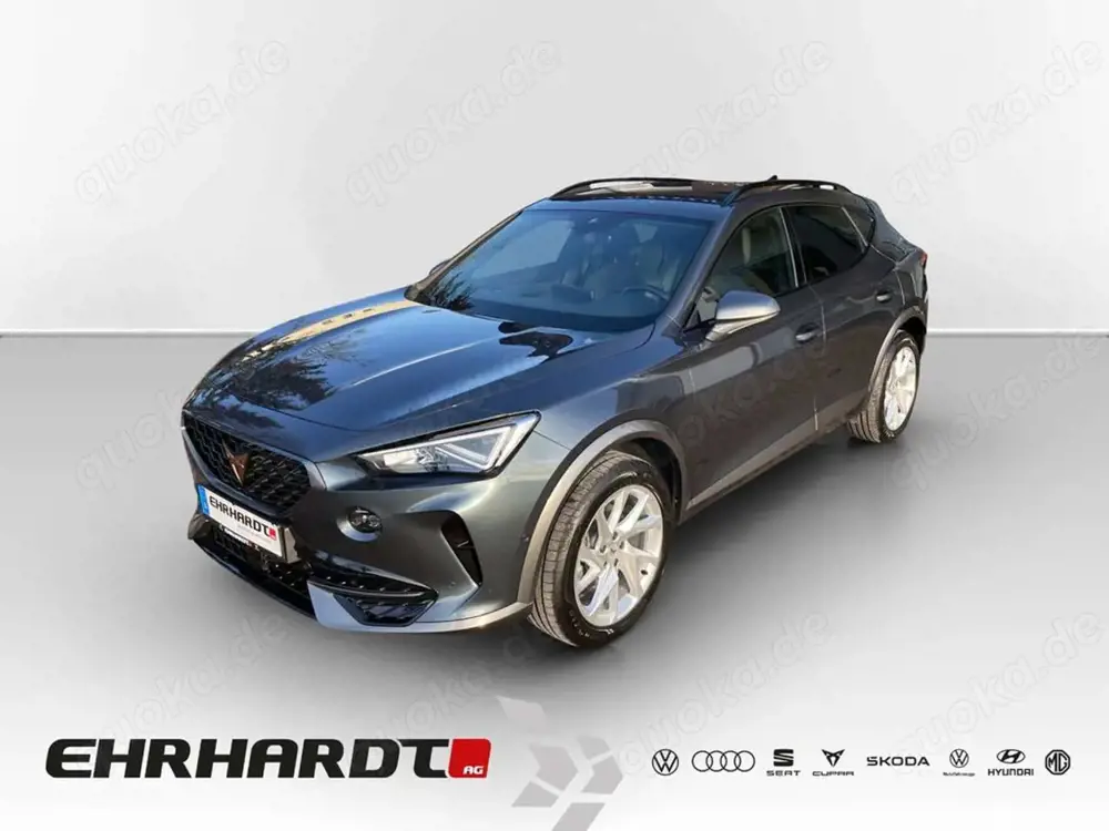 CUPRA Formentor 2.0 TDI DSG 4 Drive VIRTUAL*NAVI*LED*ACC*PARKLE...