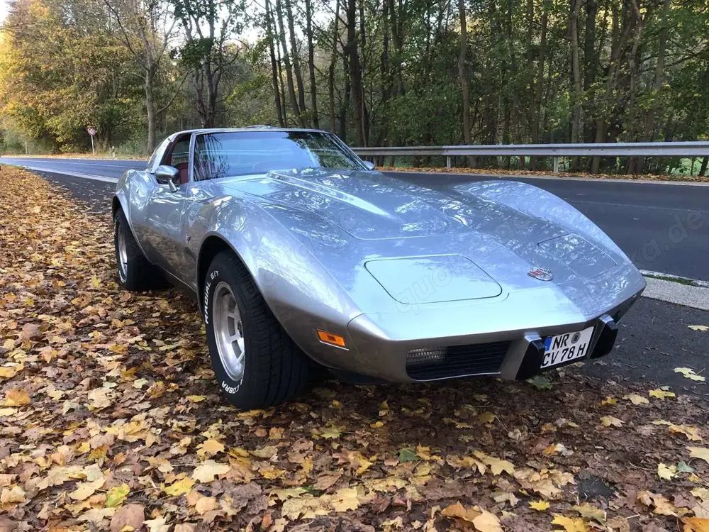 Corvette C3 25th Anniversary 1978 · Schalter