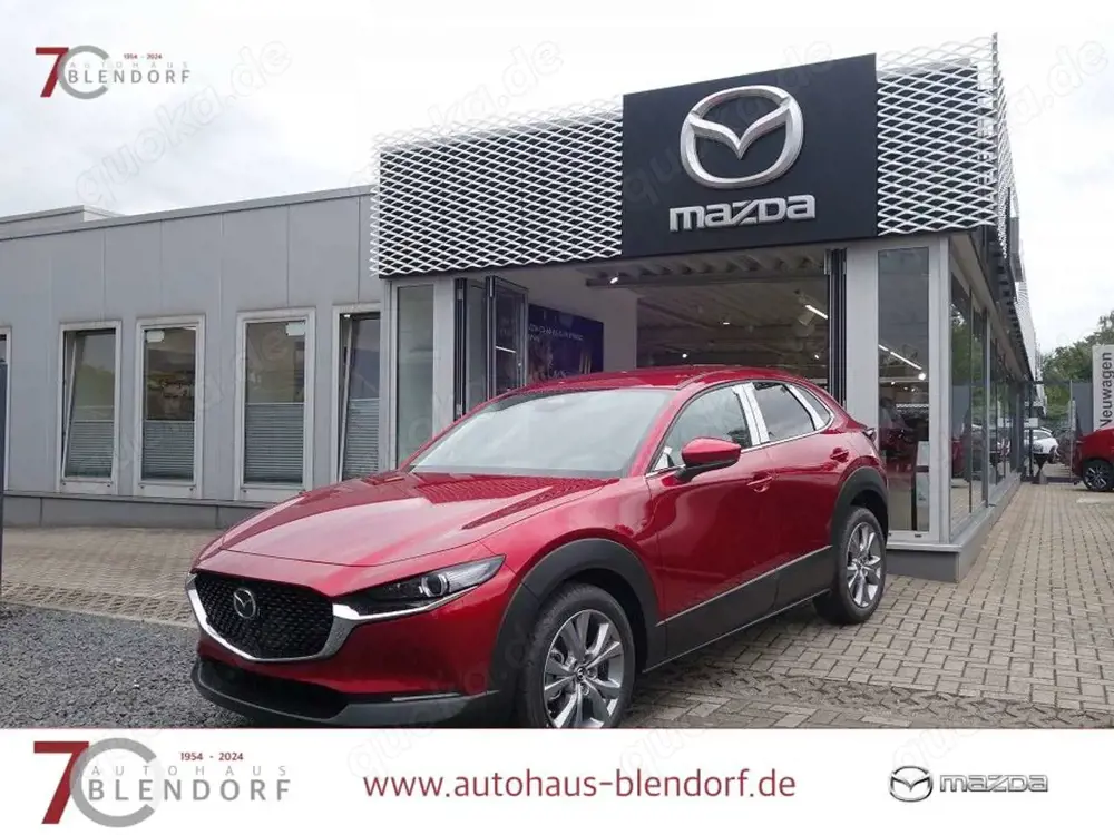 Mazda CX-30 Exclusive 140 360°|Navi|Bose
