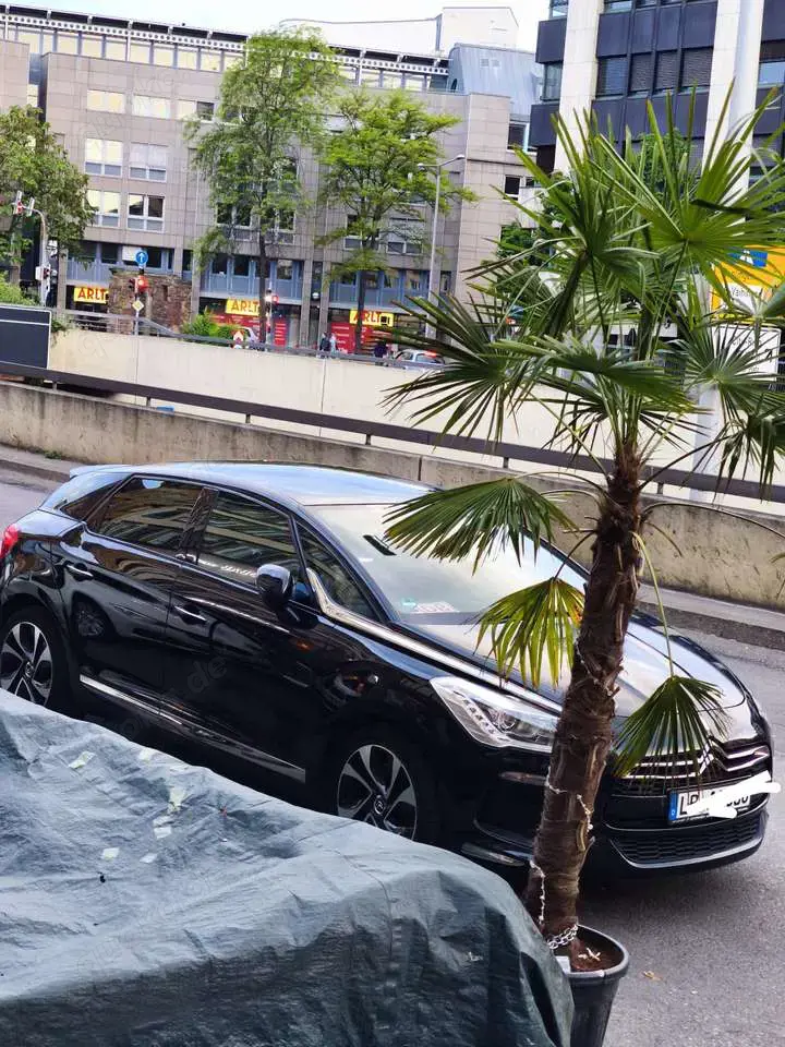 Citroen DS5