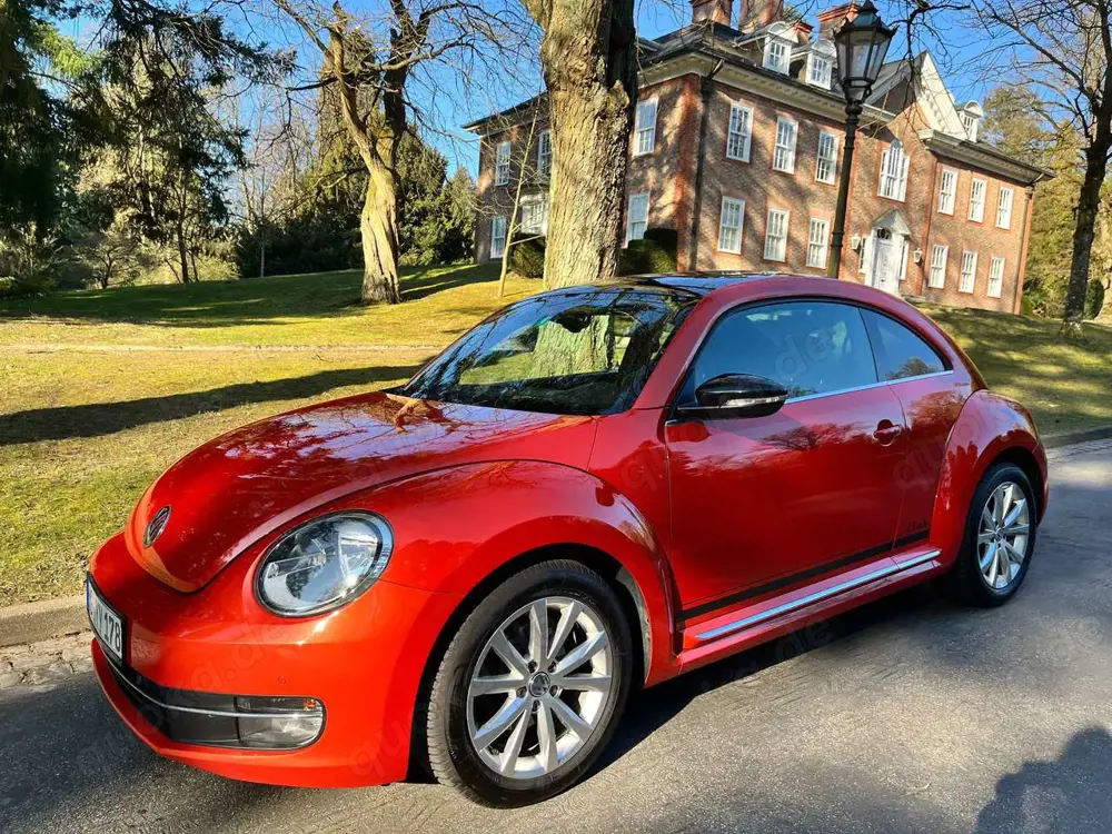 Volkswagen Beetle