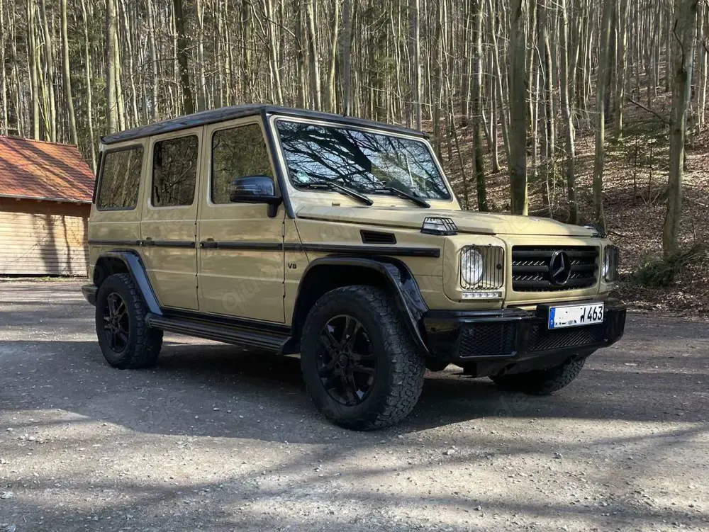Mercedes-Benz G 500 "Pro" Exkl., MB 100, überholt, Top Zustand!