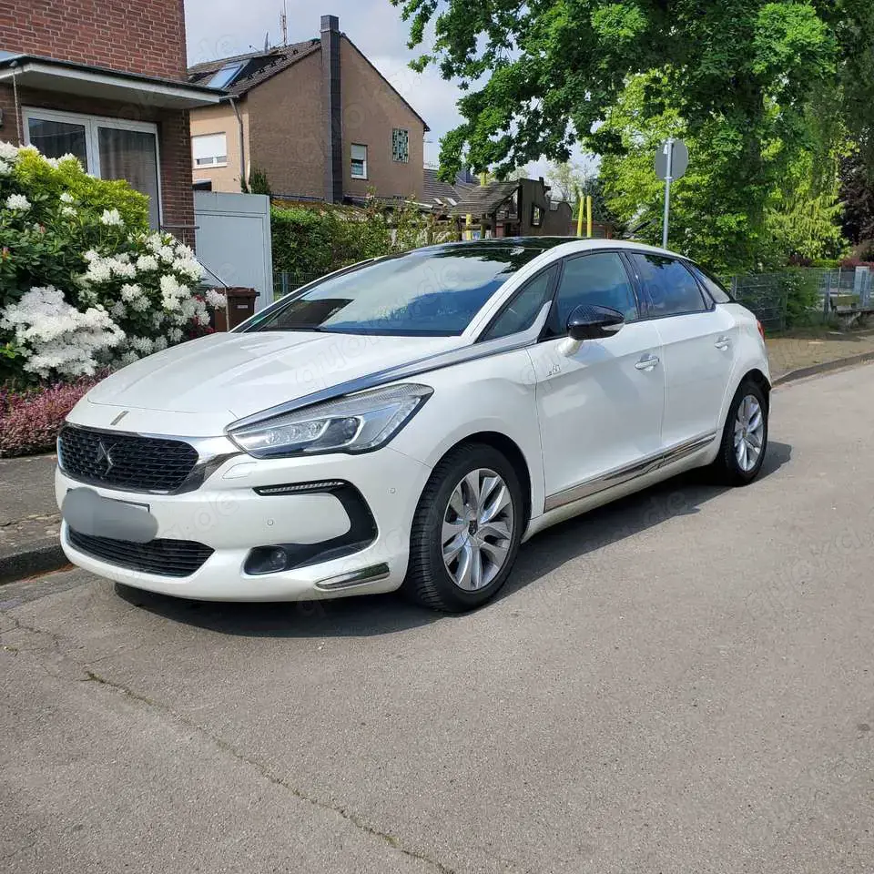 DS Automobiles DS 5 Limited Edition 1955,  Leder, Panorama, TÜV neu