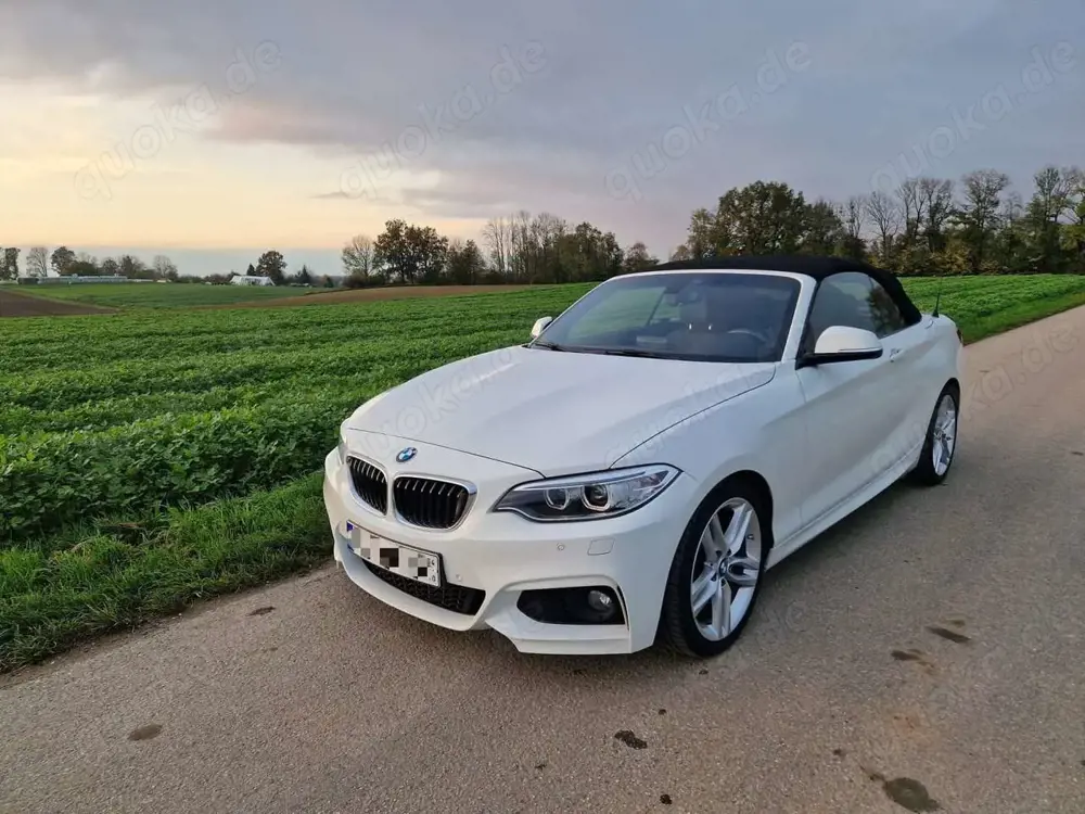 BMW 228