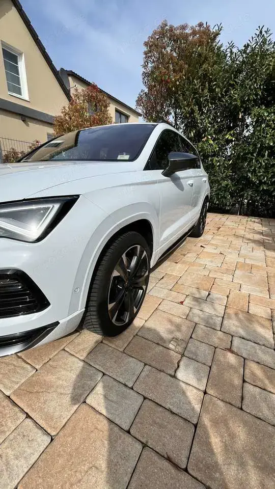 CUPRA Ateca Basis 4Drive VZ / AHK / 360* Kamera