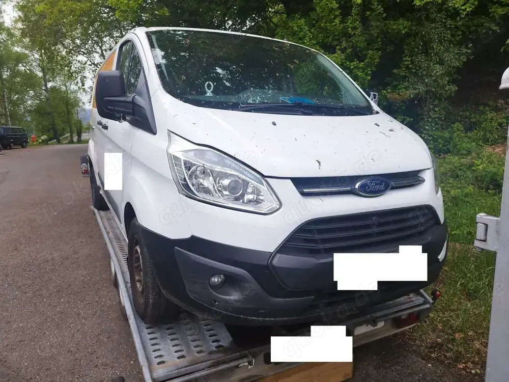 Ford Transit Custom Transit Custom 290 TDCi 290 L2H1 LKW VA Basis