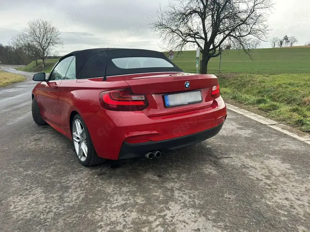 BMW 228 228i Cabrio M Sport Keyless|Alcantara|Xenon|SH