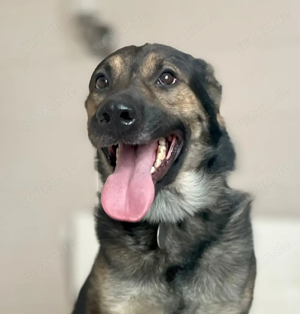 Wer hat ein herz für Rudy?!