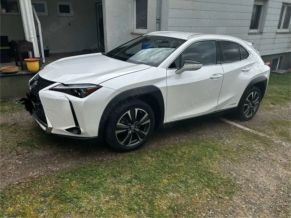 Lexus UX 250h UX 250h Luxury Line