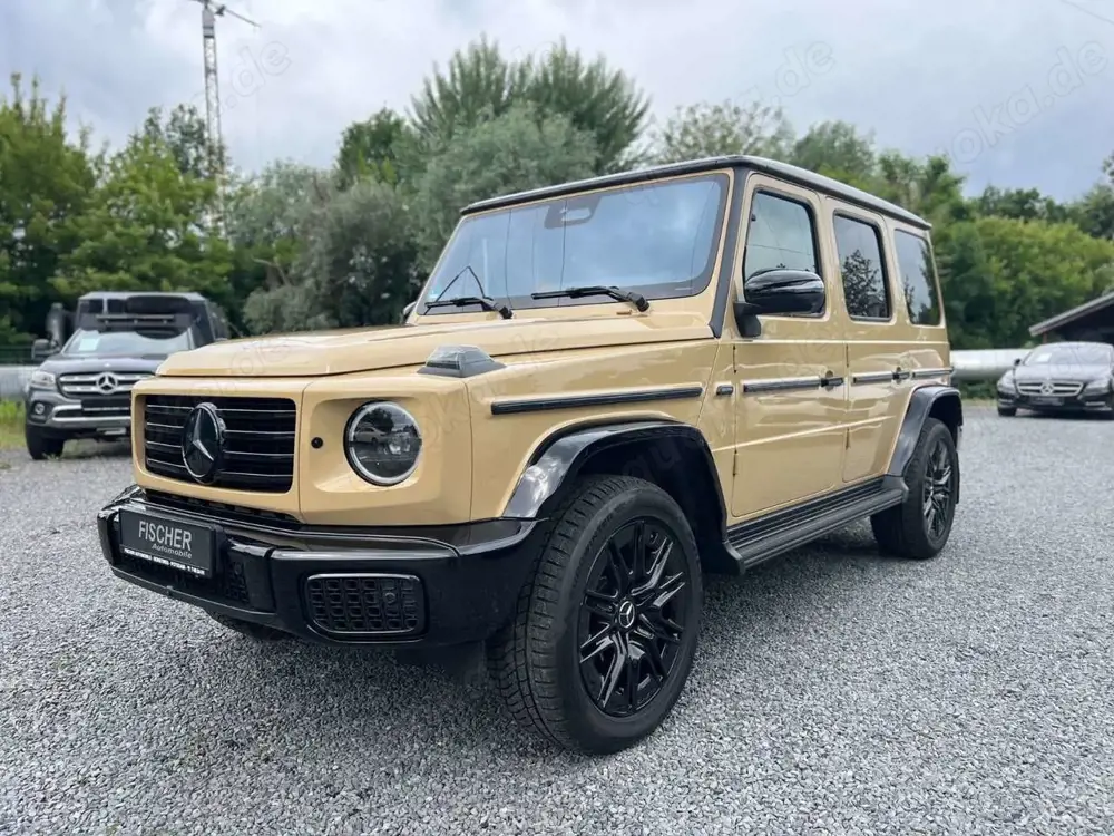 Mercedes-Benz G 450 +AMG LINE+BURMES+STAND.H+LED+BI COLOR+