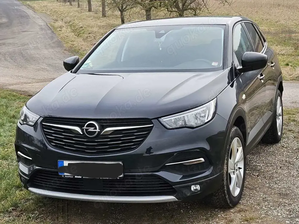 Opel Grandland X Grandland X, RFK, Navi, gepflegt