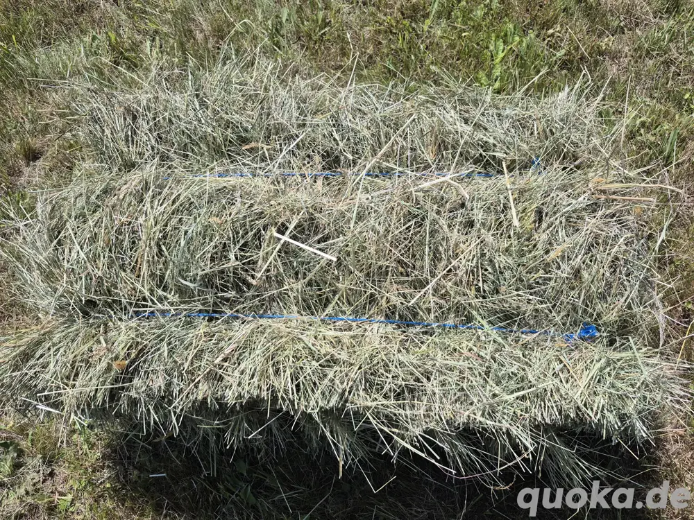 Heu in kleinen HD Ballen Ernte 2025