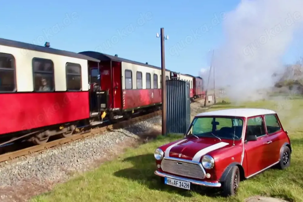 Austin Mini