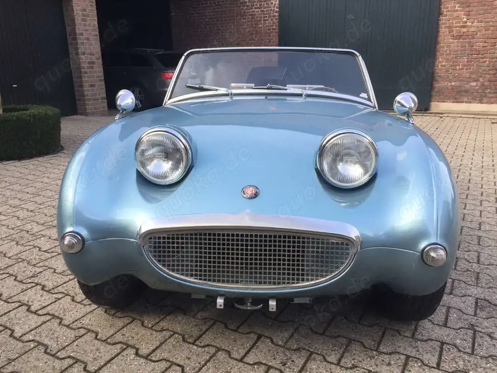 Austin-Healey Sprite Frogeye