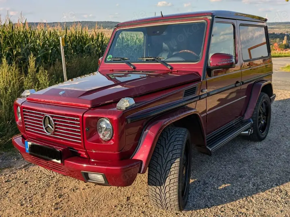 Mercedes-Benz G 500 Automatik LPG LED AHK Top