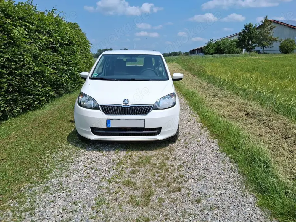 Skoda Citigo