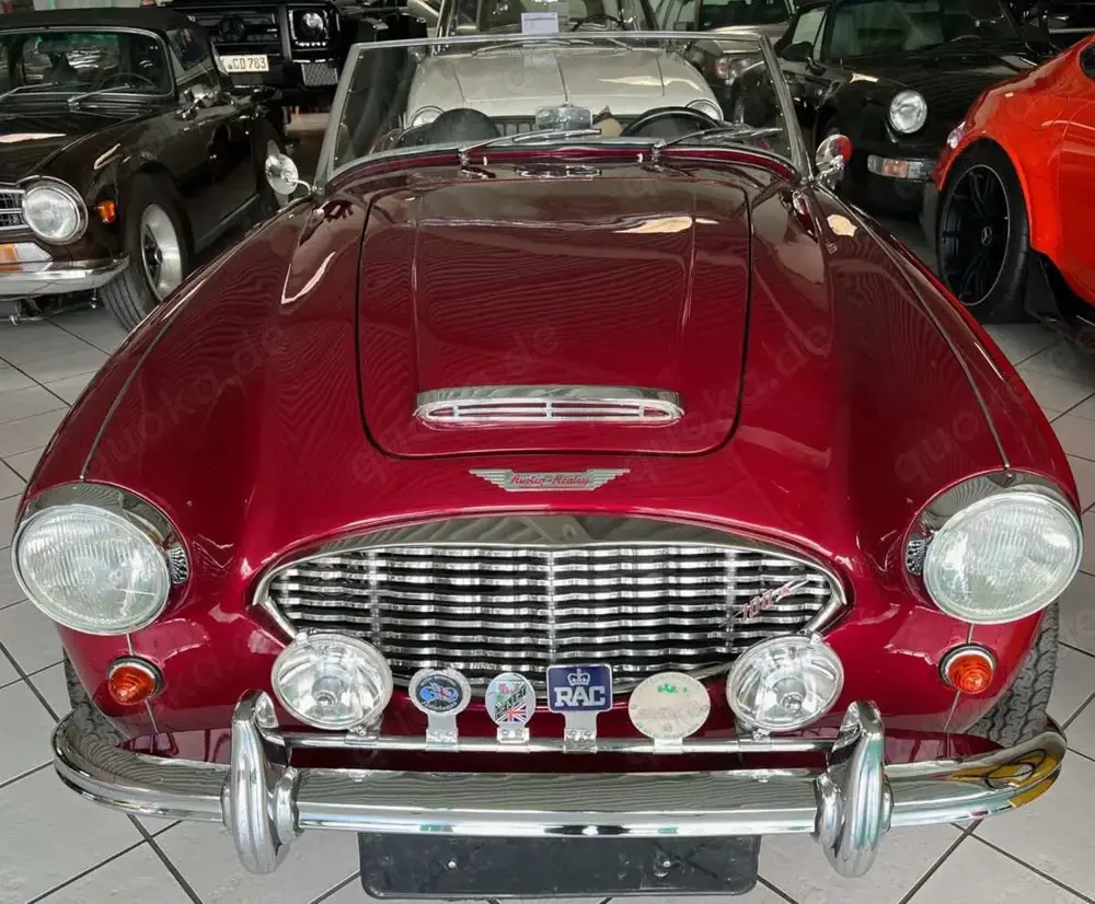 Austin-Healey 100 -six BN4 Roadster im Topzustand