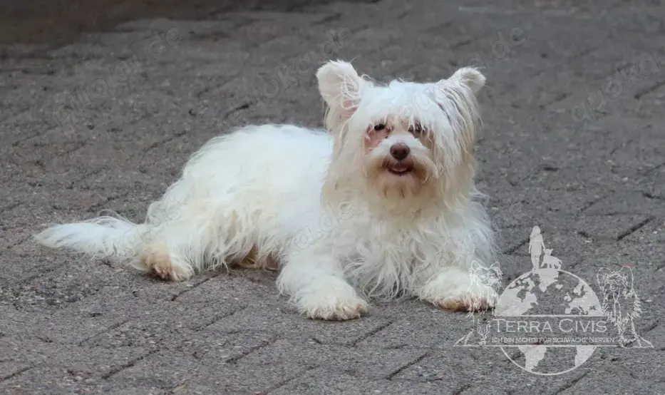 Giannah Nah Ni Ni sucht Zuhause mit Fullservice :-) 