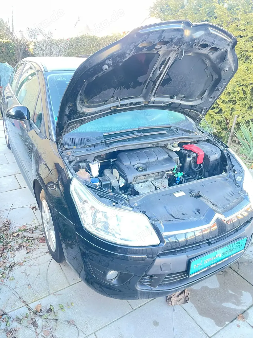 Citro n C4 1.4 16V-Euro.4-Grün