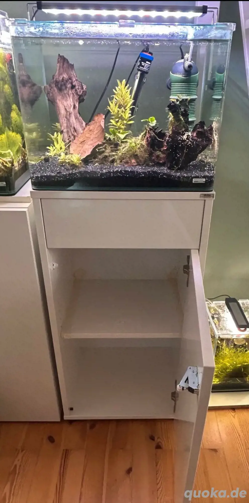 Aquarium mit Unterschrank und Blue Dream, Black Sakura Garnelen